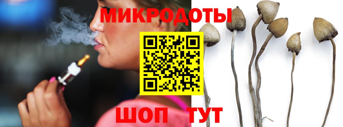 Галлюциногенные грибы GOLDEN TEACHER  Вход с VPN  магазин  наркотиков  Троицк 